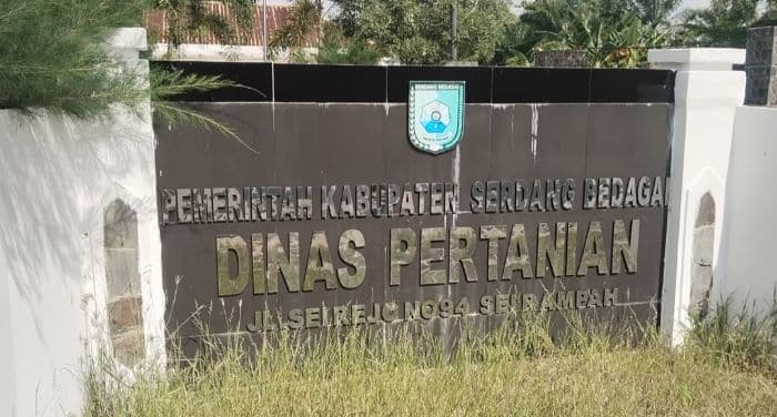 Warga yang tergabung dalam kelompok Tani  Di Serdang Bedagai   Merasa Lama Dan Lambat Penyaluran Pupuk Subsidi